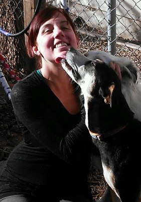 "Good Dog!" Walking and Sitting - Expert Care for Rescued ...